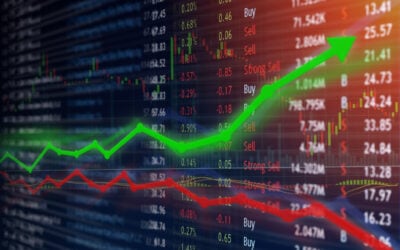 What to Do With a Concentrated Stock Position in Your Portfolio