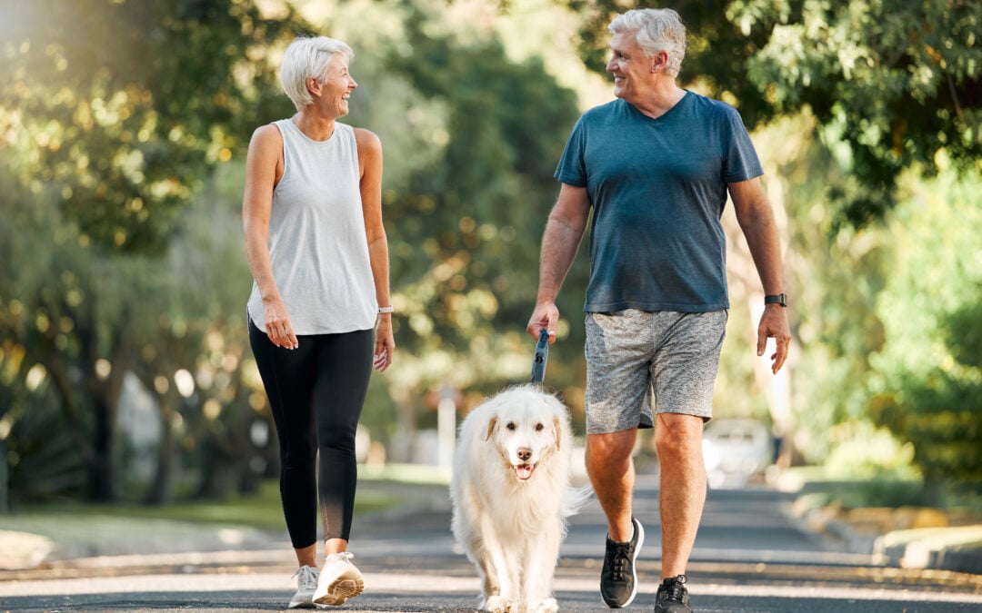 Your Five-Year Plan for Bay Area Retirement