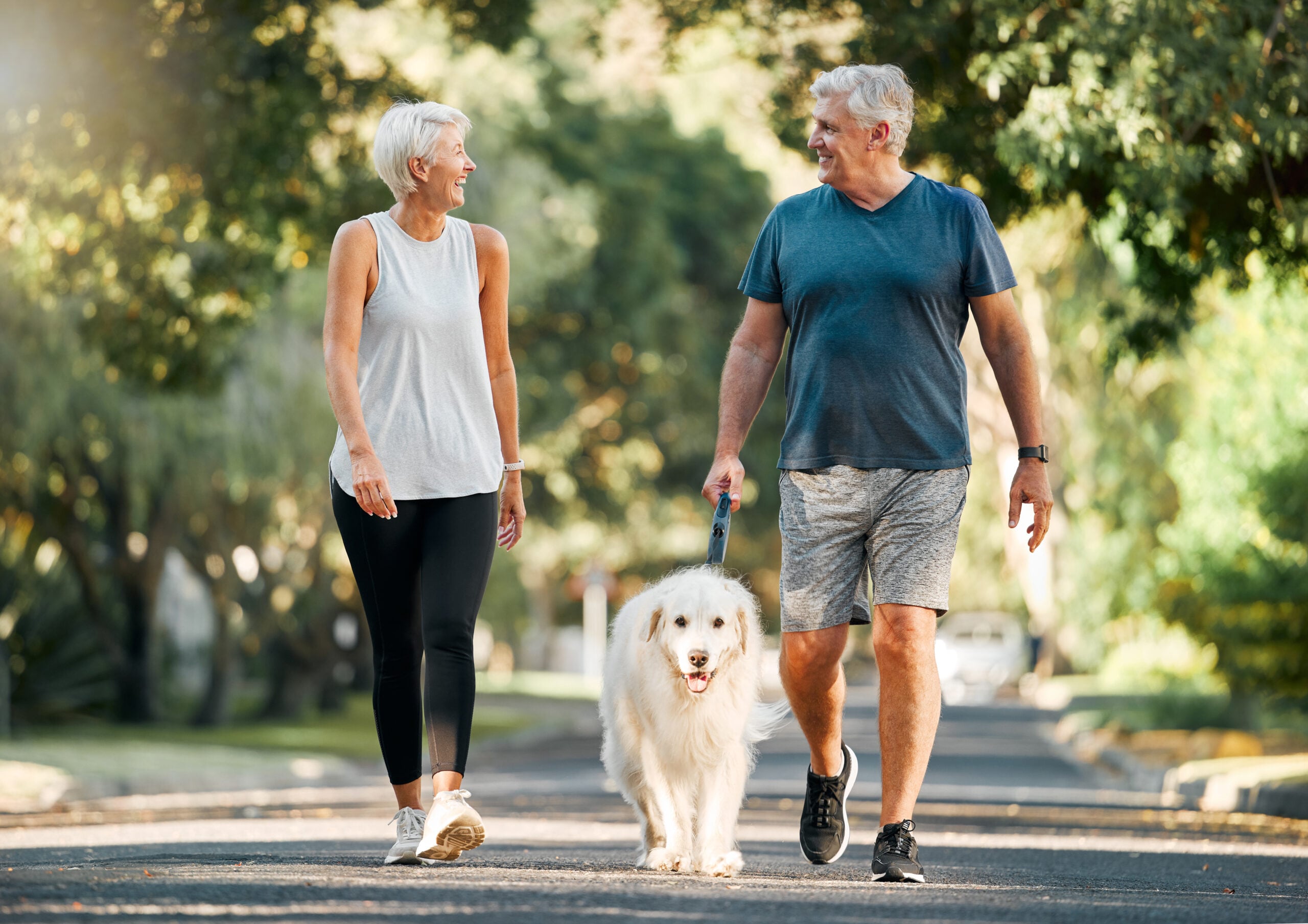 Your Five-Year Plan for Bay Area Retirement